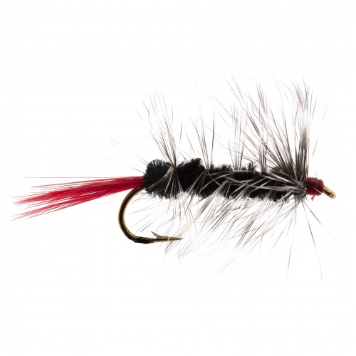 The Essential Fly Black Woolly Worm Fishing Fly